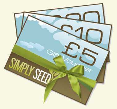 Gift Vouchers - Print or Email